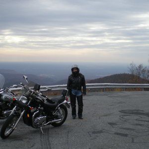 Meet your Posher, Sally